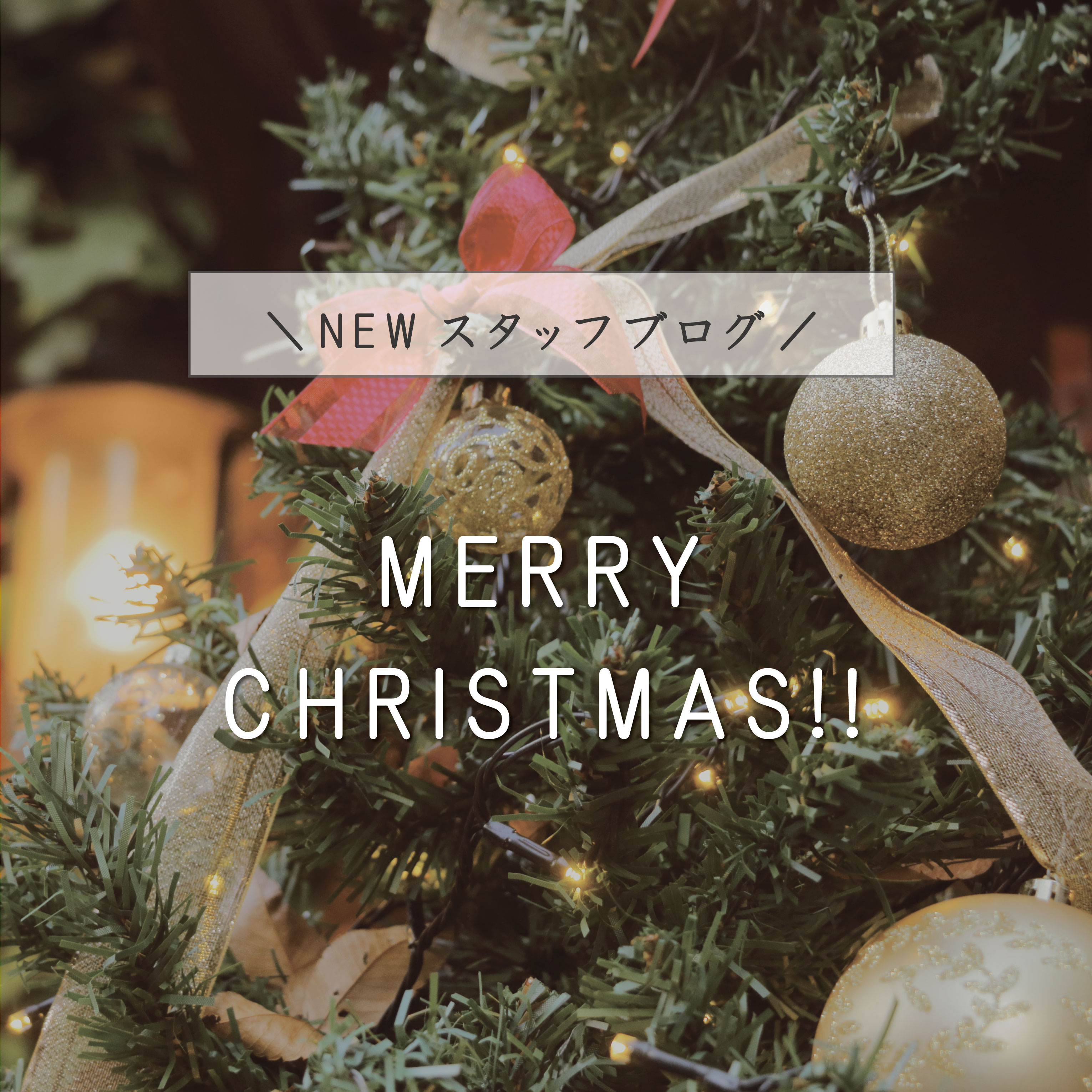We wish a Merry Christmas!🎄🎅 画像