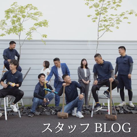 モダンインテリアに映えるグリーン。観葉植物でつくる上質な空間づくり アイキャッチ画像